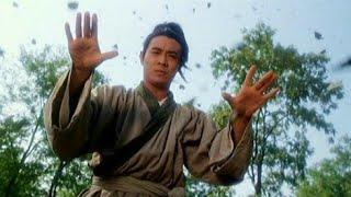 이연걸의 태극권 The Tai Chi Master
