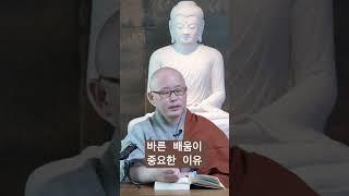 배움이 바른 견해를 형성한다. / 명상의 말씀 #위빠사나 #명언 #참선 #행복