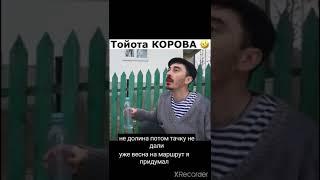 Каха и Серго Тойота корова