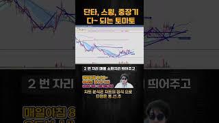 단타 스윙 중장기 다~ 되는 토마토시스템 #차트의정석 #매수타점기다리기 #스윙타점