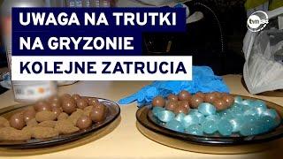 Środki na gryzonie i śmiertelne zagrożenie dla człowieka. "Zadziałał jak cyjanek"