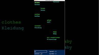  Typing Game Demo — Dual Language Q&A Mode with Vertical Layout  #Pygame #Typing #LanguageLearning