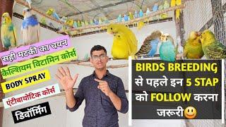 Birds Breeding Se Pehle Follow Karen Yah 5 Step || Most Important Of Before Birds Breeding.