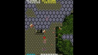 Savage Bees [Arcade Longplay] (1985) Memetron