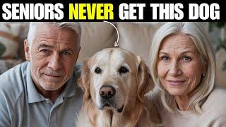 30 Best and Worst Dog Breeds for Seniors and Retirees - Very Low Maintenance + Don't Shed or Smell