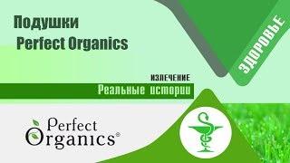 Подушки для хорошего сна Perfect Organics – нарасхват