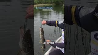 He couldn’t stop catching Pike!  - ‘Maximum Limit Fishing’ on FishingTV