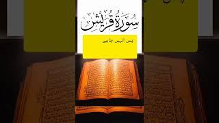 SORAH - AL QURESH WITH URDU TRANSLATED VIDEO #islam786 #islamicvideo #youtubeshorts