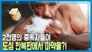 마약에 취한 거리, 브라질 크라콜란지아 (KBS_240회_2021.11.27.방송)
