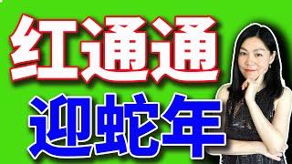 美股普跌面临收官，蛇年行情都是什么样的？个股分析：NVDA、BA、MSTR【2024-12-30】