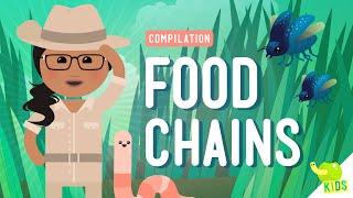 Food Chains Compilation: Crash Course Kids