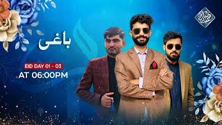 Watch Mega Vlog Serial Baaghi - This Eid ul Adha