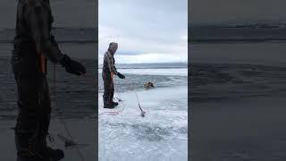 Saving My Dog From A Frozen Lake