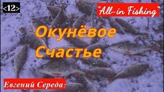 Окунёвое счастье. "All-in Fishing". Вып. 12.