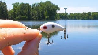 TINY Lure Challenge!!! - Ep.1 (Mini Crankbait)