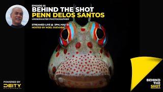 Behind the Shot LIVE 02: Penn Delos Santos on photographing Blennies, Reef Mantas, and Squid Squads!