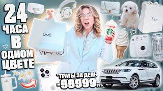 24 ЧАСА В ОДНОМ ЦВЕТЕ *версия 2025г* - БЕЛЫЙ!