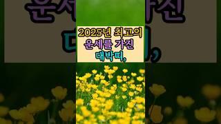 2025년 최고의 운세를 가진 대박띠
