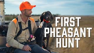 South Dakota Pheasant Opener 2024 - My Dog's First Pheasant Hunt