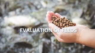 AQUA | Evaluation of Feeds | 2022-2023