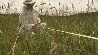 Forensic Science Field Techniques - Establishing the Scene