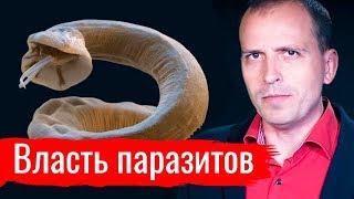 Власть паразитов. Константин Сёмин // АгитПроп 14.09.2019