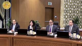 رئيسا وزراء مصر وقطر يترأسان جلسة مباحثات موسعة