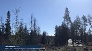 Property in Northern Idaho! Wildwood Estates Parcel E Orofino Idaho!