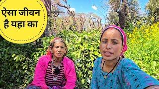 ना नेटवर्क ना लाइट मुश्किल जीवन है यहा का!forest Lifestyle