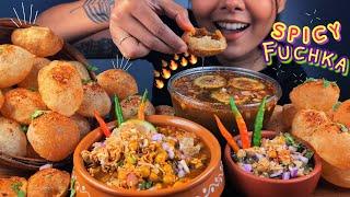 SPICY PANIPURI CHALLENGE | PANIPURI EATING CHALLENGE | INDIAN STREET FOOD | EATING VERY SPICY FOOD