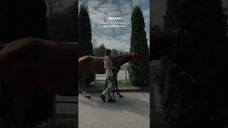 Наш путь  #жеребец #horse #equestrian #жеребенок #мерин #riding #кони