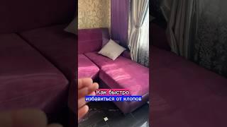 Как быстро Избавиться От Клопов #полезныесоветы #sergeylapateff #видео #лайфхак #совет #как