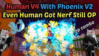 Human V4 With Phoenix V2/Awk Combo + GH, E Claw + CDK, Spikey + Kabucha Blox Fruits Bounty Hunting