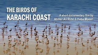 The Birds of Karachi Coast