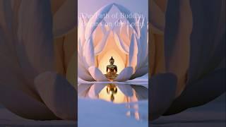 The Path of Buddha Begins on the Lotus. #부처님의말씀 #연꽃과부처님 #고요와평화 #부처님가르침 #마음의쉼 #깨달음의순간 #평온한마음 #내면의평화