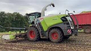 Landbouwbedrijf Cools| Mais hakselen 2021 | CLAAS Jaguar 960 | CLAAS ORBIS 750|