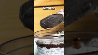 ️IMPORTANT MESSAGE️ #frozi #icecream #popsicle #funny #icecream #memes #catmemes #cat #cats #short