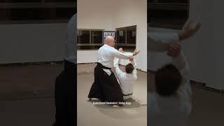 Gyakuhanmi Katatedori | Kokyu Nage | Aikido | 🈴 #aikido #aikidoisrael #aikidoaikikai #aikidovoronov