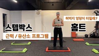 스텝박스 홈트 ️ 딱 한번이면 충분합니다. / 두번하지마세요