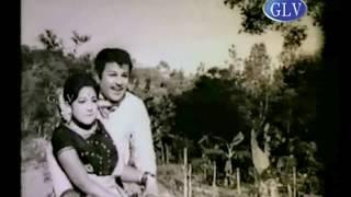 Arasanai Paartha Kannukku Songs | P.Susheela | M.S.Viswanathan | Kannadasan | Akkarai Pachchai Movie