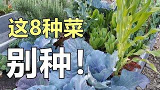 Don't Grow These Vegetables️不要种这8种蔬菜, 会后悔的