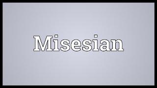 Misesian Meaning