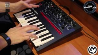 Korg Monologue [Performance] | No Talking |