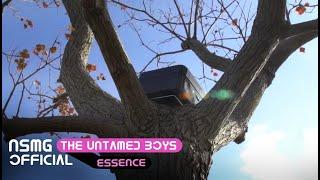 【The untamed boys】WHAT'S IN THE BOX? (Knowledge challenge)