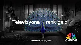 Televizyona renk geldi! CNBC-e 10 Haziran'da yayında