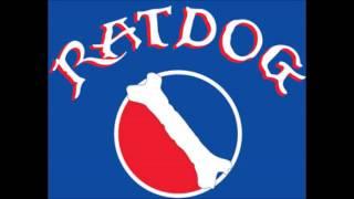 RatDog - Bury Me Standing