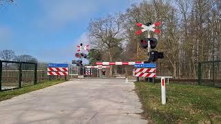 Spoorwegovergang Goor // Dutch Railroad Crossing