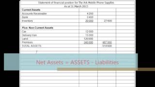 Statements of Financial Position