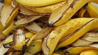 OS 10 Benefícios da Casca da Banana Para a Saúde| Dicas de Saúde