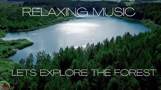 Relaxing Piano Music, Deep Sleep Music, Relaxing Music, Studying Music, Stress Relief Music ⭐️174